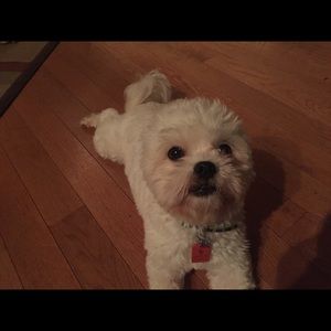 Meet your Posher, Anne marie